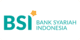 BSI Online Logo